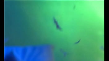 Angels demi blue julia swen and sophie evans give man blowjob in 4 way