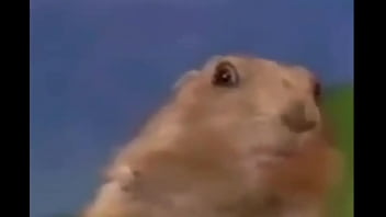 Video de youtuber mais famoso que o cellbit sobre minecraft