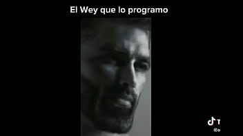 Profanado por por un bot de power ranges the game fighters