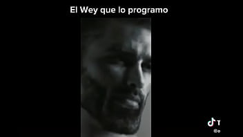 Profanado por por un bot de power ranges the game fighters