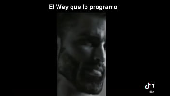 Profanado por por un bot de power ranges the game fighters