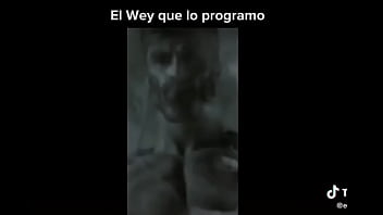 Profanado por por un bot de power ranges the game fighters