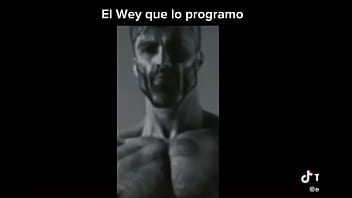 Profanado por por un bot de power ranges the game fighters