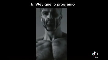 Profanado por por un bot de power ranges the game fighters