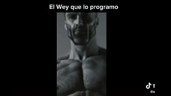 Profanado por por un bot de power ranges the game fighters