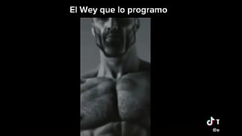 Profanado por por un bot de power ranges the game fighters