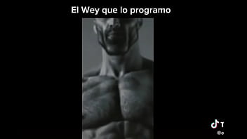 Profanado por por un bot de power ranges the game fighters