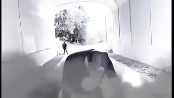 I'm a fighter & lover new music tmicheal eazy hogan