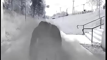 I'm a fighter & lover new music tmicheal eazy hogan