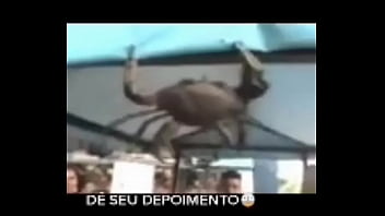 Senhor siri fazendo flexões enquanto narrador fala