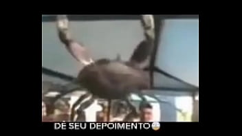 Senhor siri fazendo flexões enquanto narrador fala