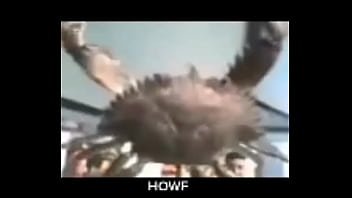 Senhor siri fazendo flexões enquanto narrador fala