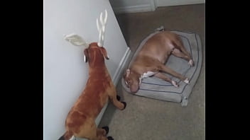 More ways to show off my zodiacs patience without masturbating 4