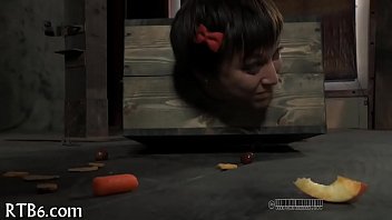 Hard toy for beauty's anal canal