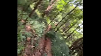 I like to explore nature do you too running through the jungle of thailand and discovering new habitats is an a