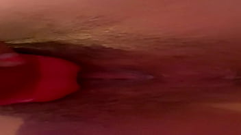 1uniquemonique update #2 img 3586 mar 28 2025