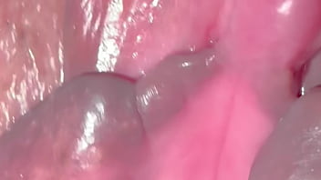 Yukimori & nanami's fun sex diary