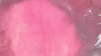 Yukimori & nanami's fun sex diary