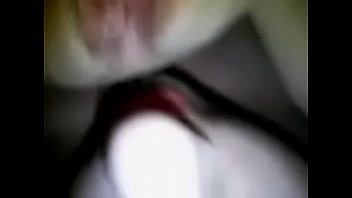 Tonecerella bearpaw ex gfs