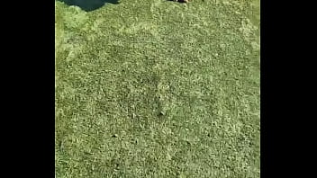 When i own a gsd it's for working he knows his job and keep up with training