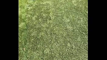 When i own a gsd it's for working he knows his job and keep up with training