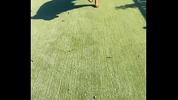 When i own a gsd it's for working he knows his job and keep up with training