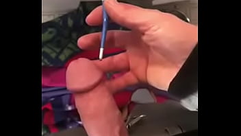 Penis Penis