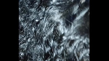 Tomando leite de pica