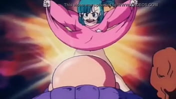 No panties dragon ball