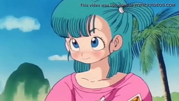 No panties dragon ball