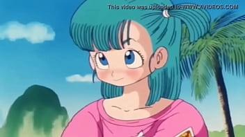 No panties dragon ball