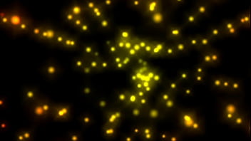 Wanted female sex slaves