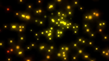 Wanted female sex slaves