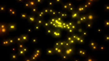 Wanted female sex slaves