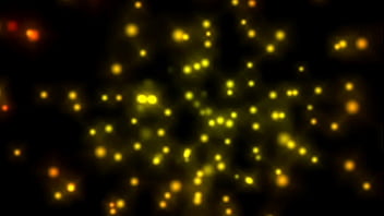 Wanted female sex slaves