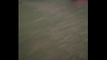 Dando coice no time do renannoveski na linha holandesa