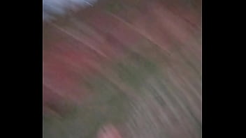 Dando coice no time do renannoveski na linha holandesa