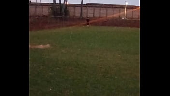 Dando coice no time do renannoveski na linha holandesa