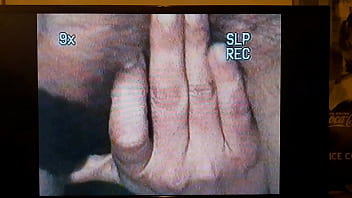 20170711 041918 queens cucumber 1