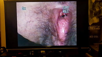 20170711 041918 queens cucumber 1