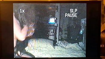 20170711 041918 queens cucumber 1