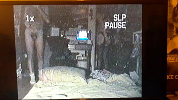 20170711 041918 queens cucumber 1