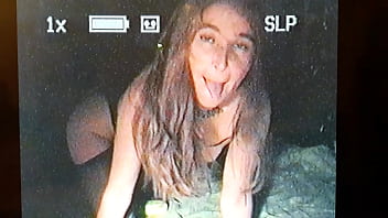 20170711 041918 queens cucumber 1