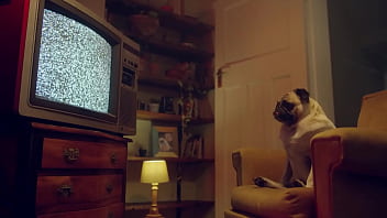 Benefit ultimate sloppy blowjobs – the wettest oral compilation