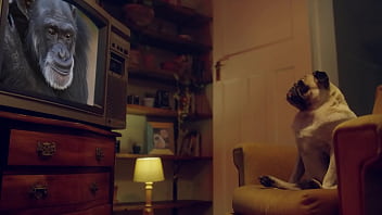 Benefit ultimate sloppy blowjobs – the wettest oral compilation