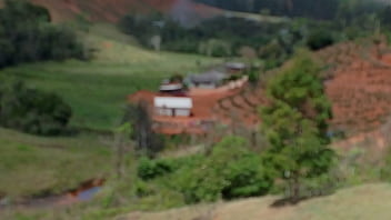 Vídeo de verificação