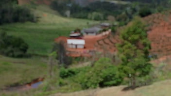 Vídeo de verificação