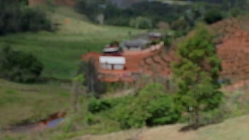 Vídeo de verificação