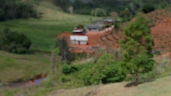 Vídeo de verificação