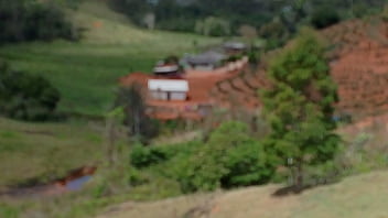 Vídeo de verificação